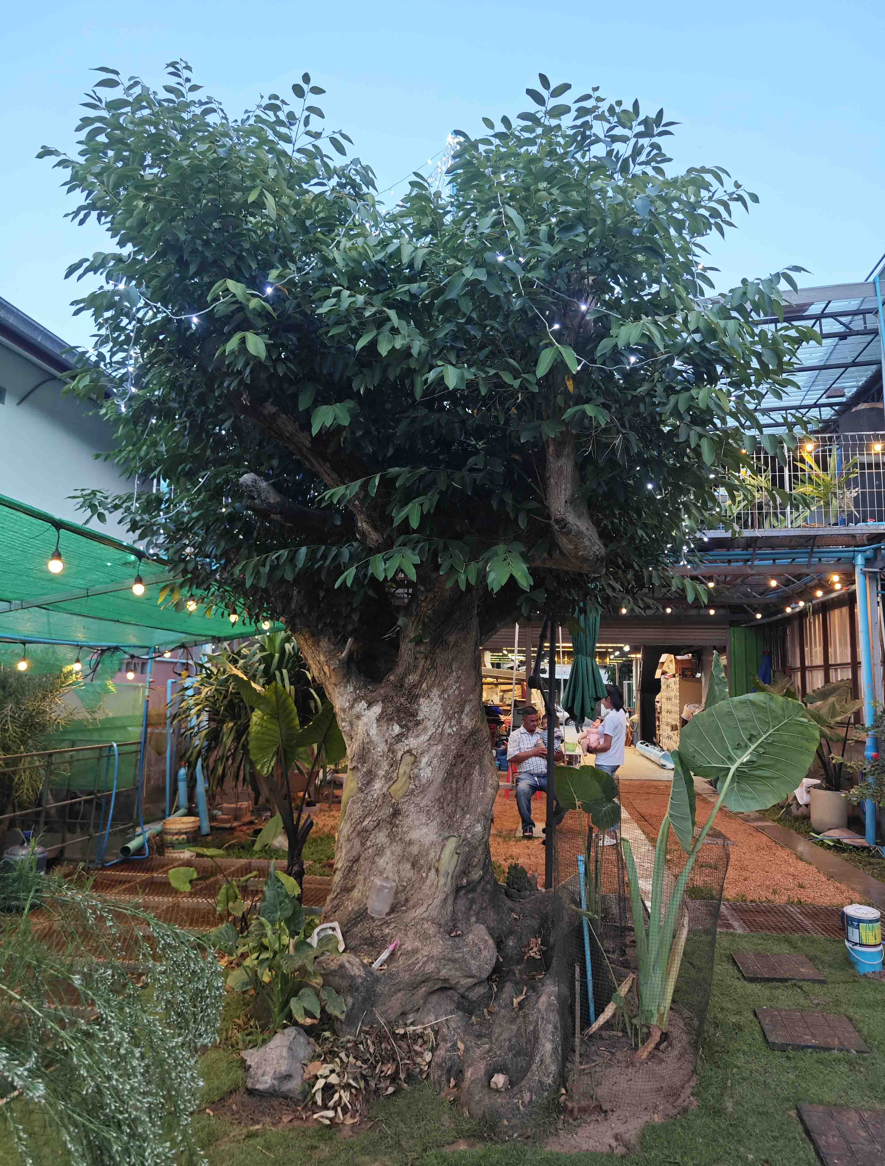 งานแต่งงานที่มีความสุข(图3)
